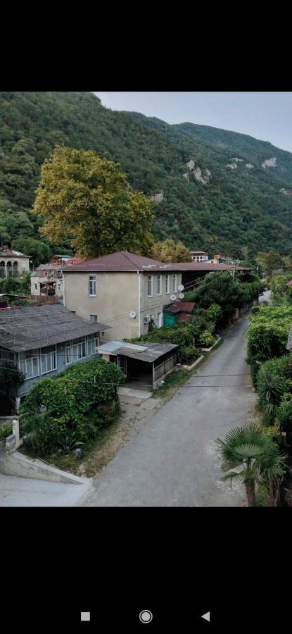 Жоэквара Gagra Luaran gambar